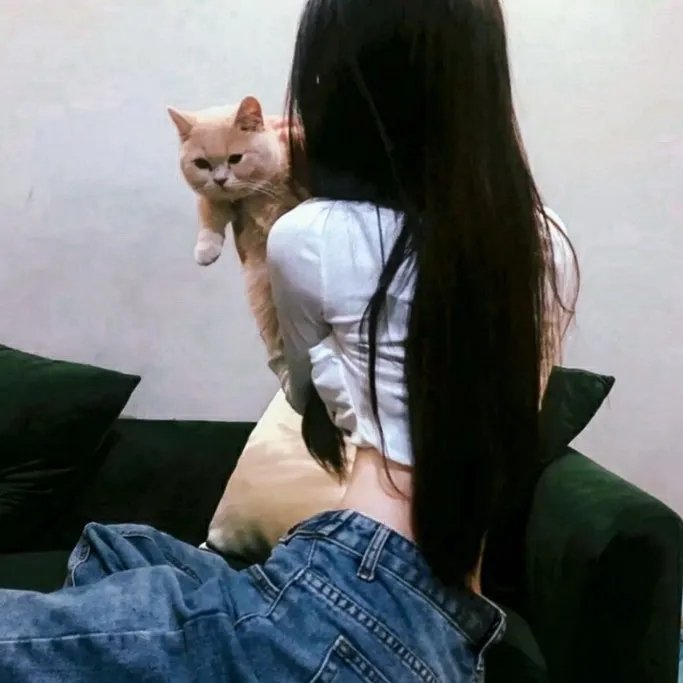 美国来的莫里斯